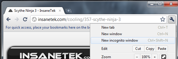 Google Chrome 11 Incognito Private Browsing